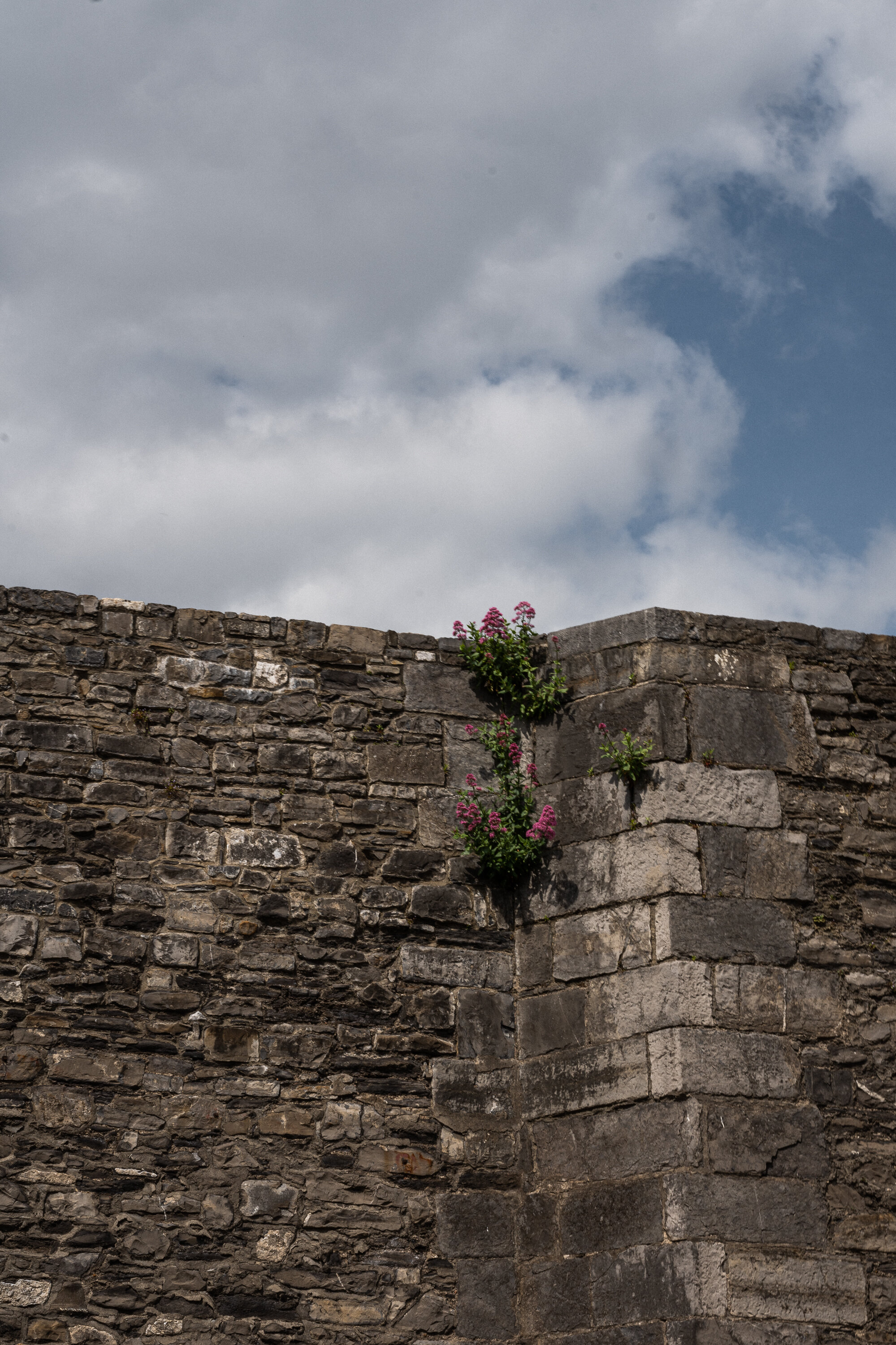 Dublin