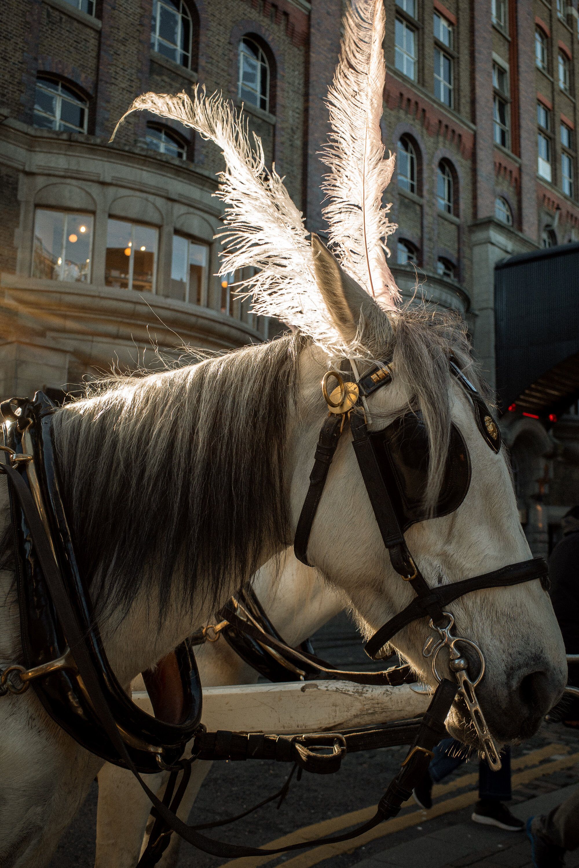 Dublin