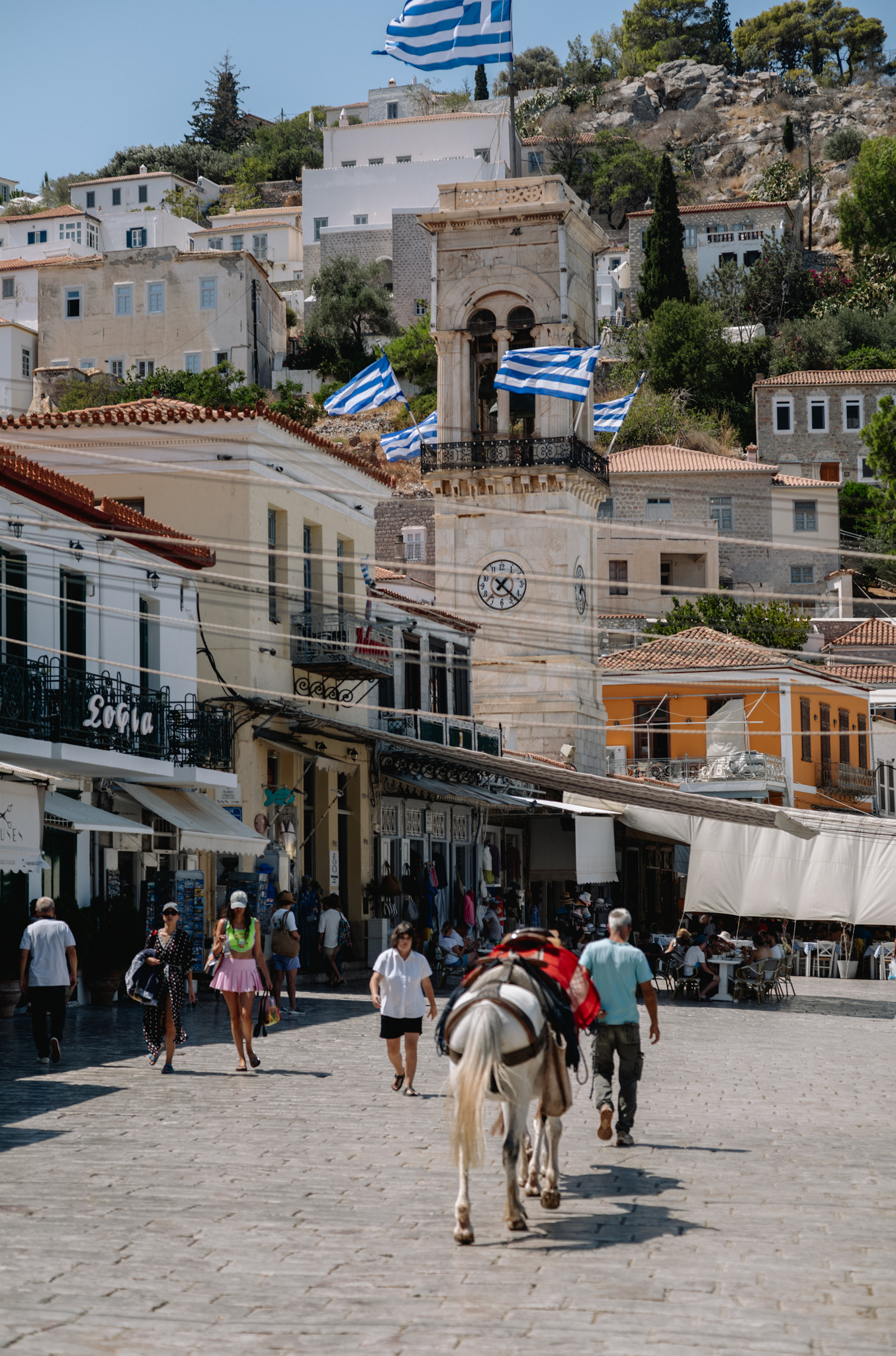 Hydra