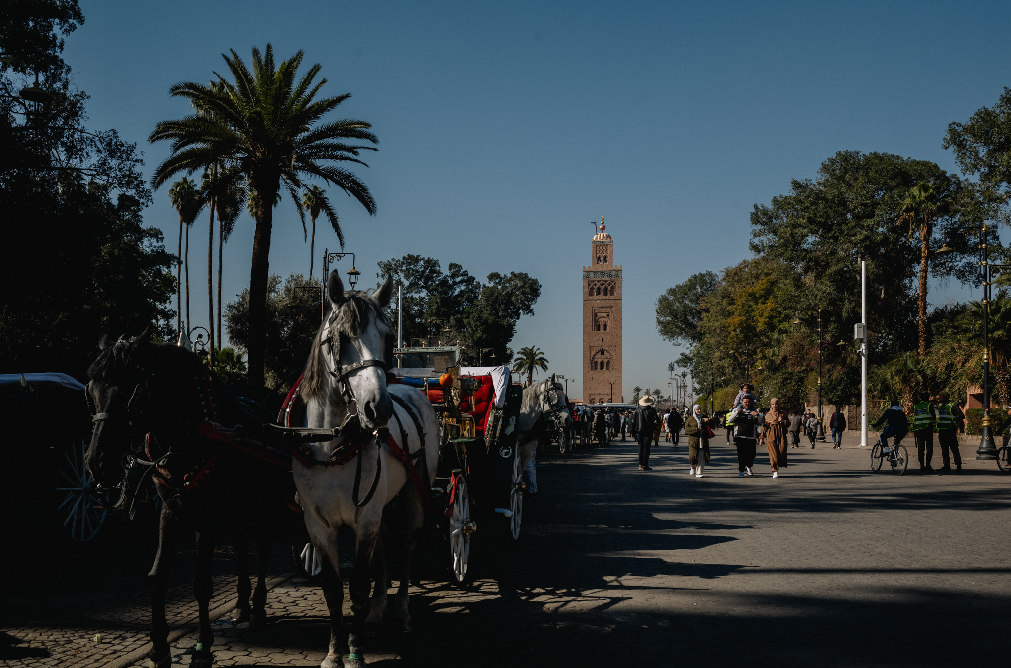 Marrakesh