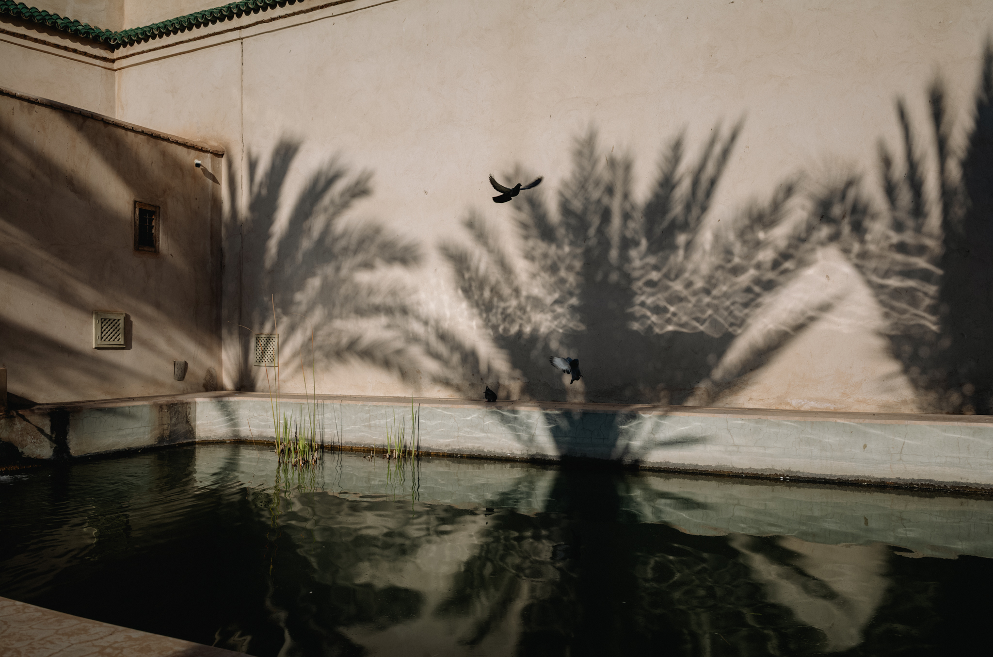 Marrakesh