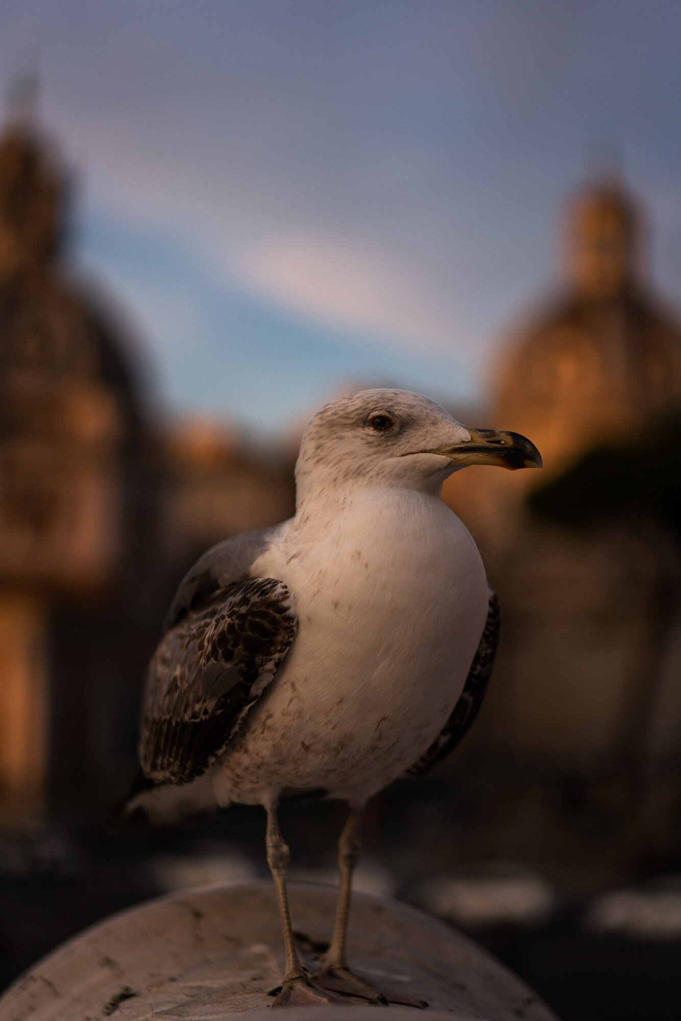 Rome