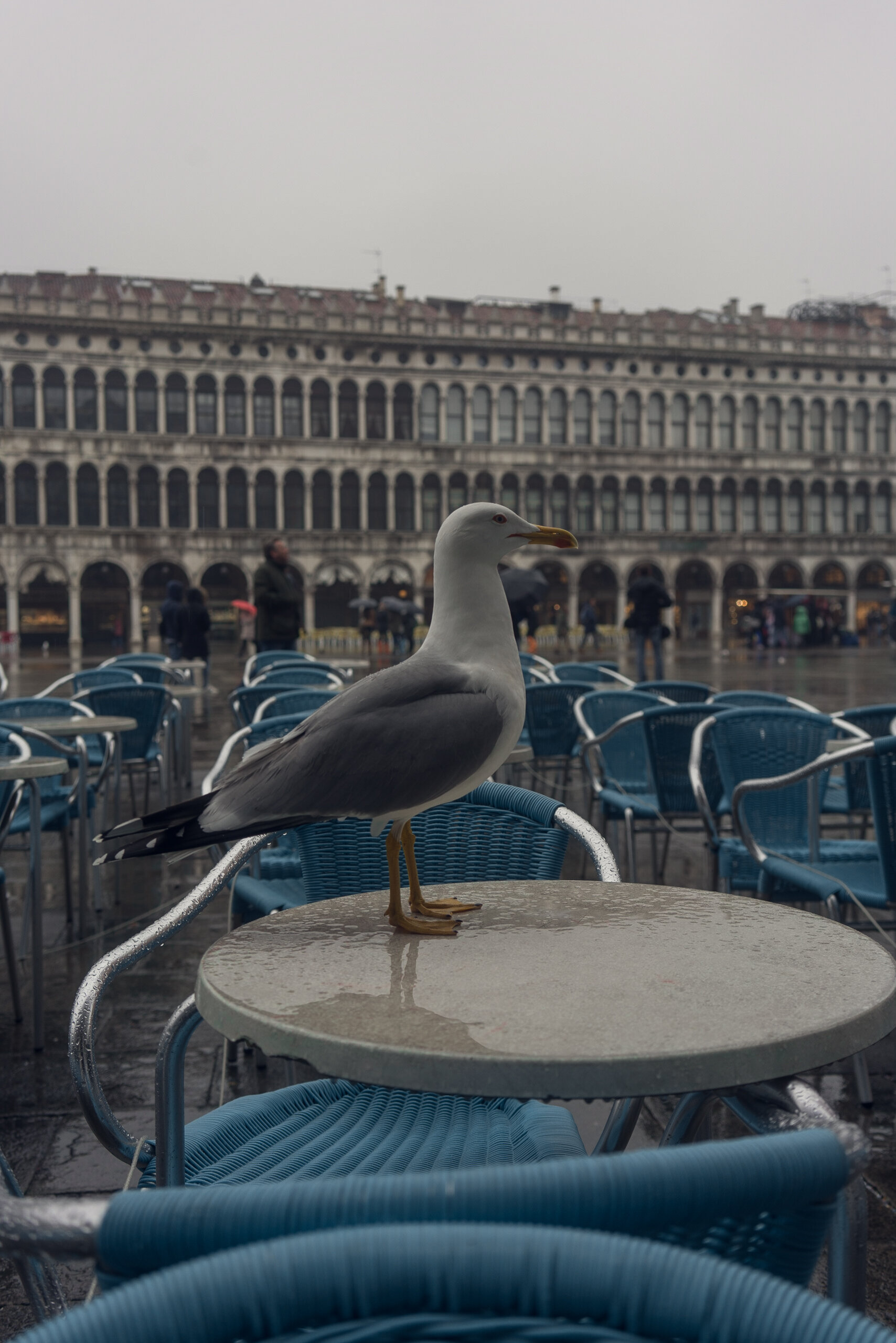 Venice